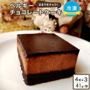 ベルギーチョコレートケーキ [12個(約41g×4個)×3ケース)] 工場直送 冷凍チョコケーキ 濃厚ベルギーケーキ【冷凍便】