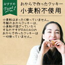 ※07月07日賞味期限※ 【 小麦粉不使用 砂糖不使用 】おからクッキー カカオ味 RACAO（ラカオ） [1袋(5個入) ] チョコ 小麦粉ゼロ 砂糖ゼロ【常温便】 3