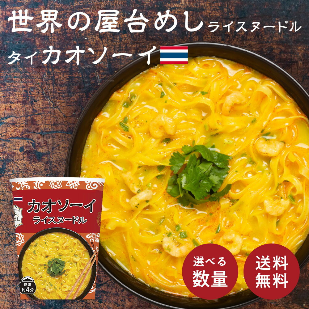 【世界の屋台めし シリーズ 】カオソーイヌードル ×1個[熱湯4分] （タイの屋台飯）インスタントラーメン 即席麺 即席めん カオソーイ (常温便)(送料無料)