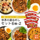 世界の屋台めし 全6種×各2袋 参鶏湯 胡麻味噌担々 魯肉飯 ユッケジャン ガパオ 肉骨茶 屋台飯