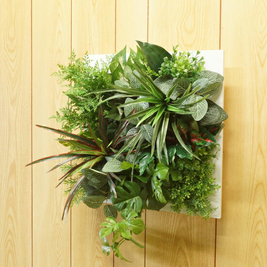 壁掛けグリーン がおしゃれ 引っ越した友人へのクリスマスはインテリアギフトのおすすめプレゼントランキング 予算 000円以内 Ocruyo オクルヨ