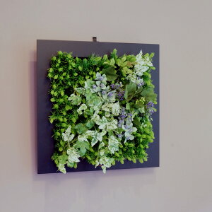 壁掛けグリーンフレーム フレッシュアイビー ブラック（光触媒）造花・観葉植物・インテリアグリーン・フェイクグリーン・人工観葉植物