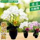 胡蝶蘭3本立陶器鉢入り(黒) 胡蝶蘭 3本立ち光触媒 お祝い 母の日 フラワー 敬老の日 就任祝い 誕生日 造花 お供え 花 仏花 シルクフラワー フェイクフラ...