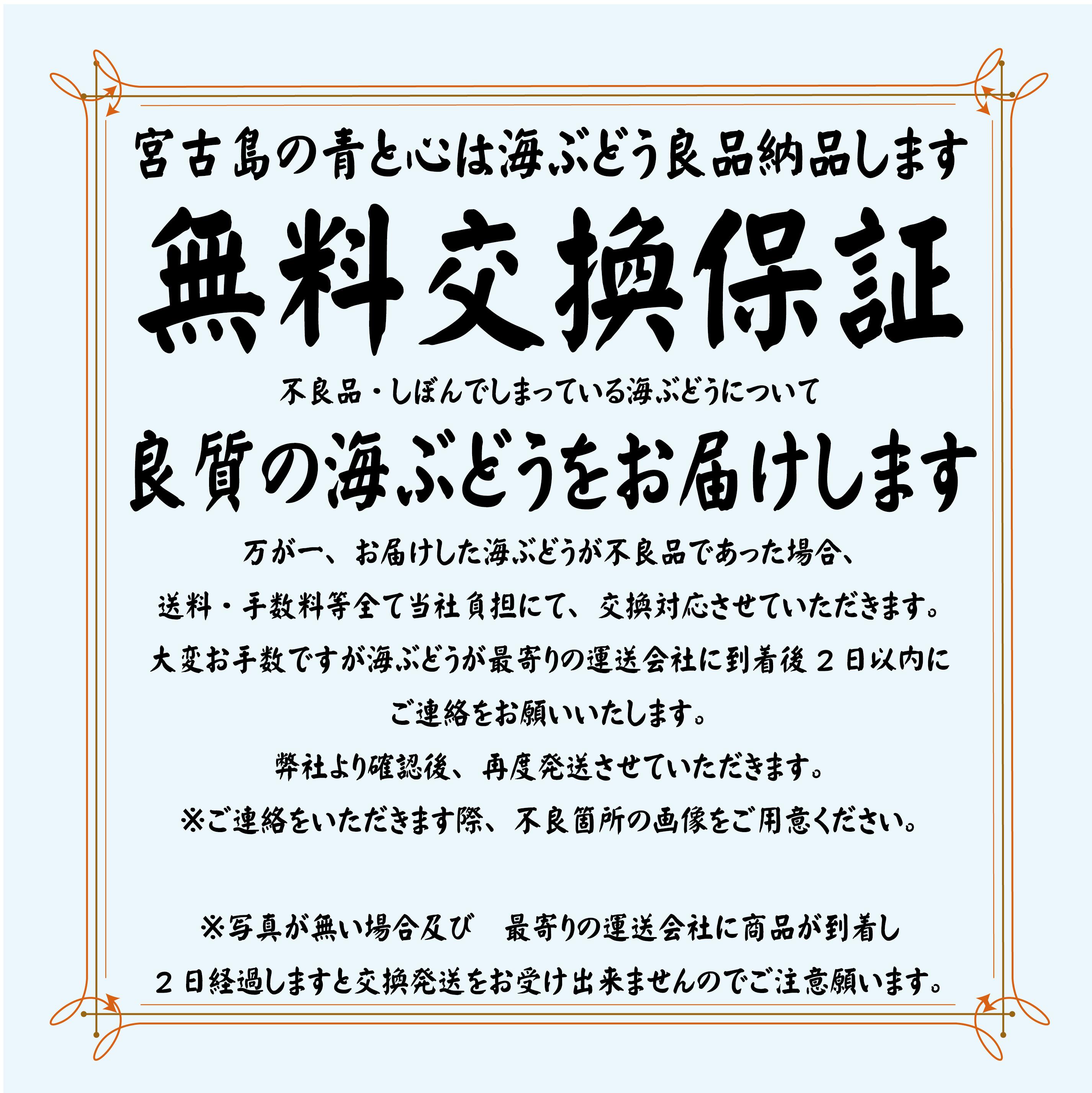 【茎付き 1.5キロ】250g×6箱　 250gにタレ2P 登録商標　海ぶどう　茎が多いB品です　1.5キロ　沖縄 宮古島 海ぶどう 直送 池間島 登録商標 送料無料 1.5kg 1.5K1 500g うみぶどう 海葡萄　(賞味期限は出荷日よりおおよそ1週間) 2