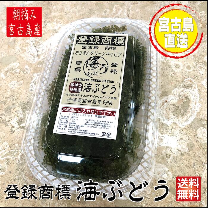 【茎付き 160g】80g×2箱　タレ付　登録商標　海ぶどう　茎が多いB品です　160g　2,480円　沖縄 宮古島 海ぶどう 直送 池間島 登録商標 送料無料うみぶどう 海葡萄 小分け　(賞味期限は出荷日よりおおよそ1週間)