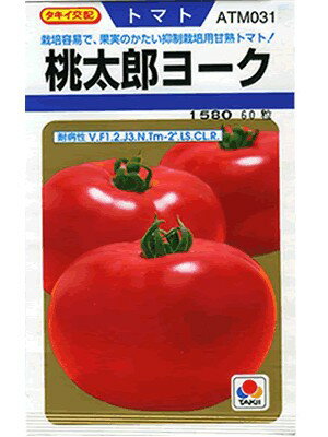 トマト　タキイ交配・・・桃太郎ヨーク・・・＜タキイの大玉トマトです。　種のことならお任せグリーンデポ＞