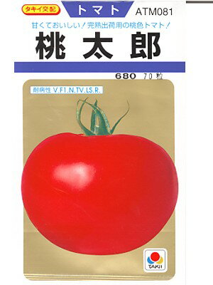 トマト　タキイ交配・・・桃太郎・・・＜タキイの大玉トマトです。　種のことならお任せグリーンデポ＞