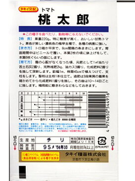 トマト　タキイ交配・・・桃太郎・・・＜タキイの大玉トマトです。　種のことならお任せグリーンデポ＞