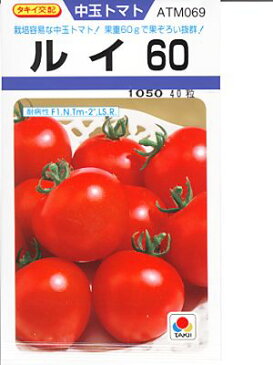 タキイ交配 ルイ60 タキイ種苗の中玉トマトです。　トマト種のことならお任せグリーンデポ