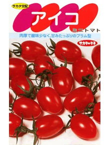 ミニトマト種　サカタ交配　アイコ　　サカタのタネのミニトマト品種です。　種のことならお任せグリーンデポ