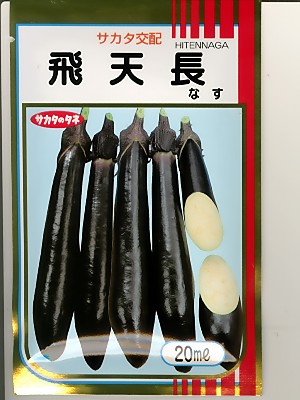 飛天長は、品質が抜群の大長ナスです。露地栽培用として作りやすい大長ナスです。　　品質も抜群です。　　非常に作りやすいタイプなので家庭菜園にもおすすめできます。できたら焼きナスにして食べてみては。