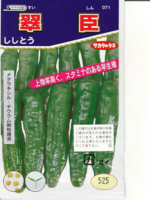 シシトウ種　サカタ交配　翠臣ししとう　　サカタのタネのシシトウ品種です。　種のことならお任せグリーンデポのサムネイル