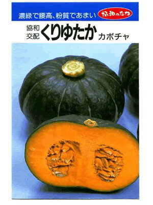 カボチャ　協和交配　くりゆたか　協和のカボチャ種です。のサムネイル