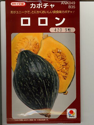 タキイ交配　ロロンカボチャ　　タキイ種苗のカボチャ品種です。　種のことならお任せグリーンデポのサムネイル