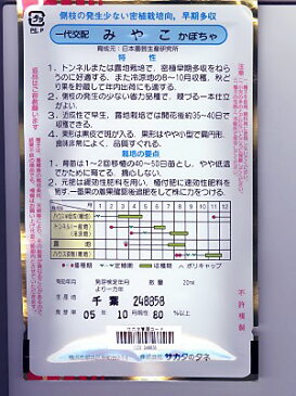 カボチャ種　サカタ交配・・・みやこ・・・＜サカタのカボチャです。　種のことならお任せグリーンデポ＞