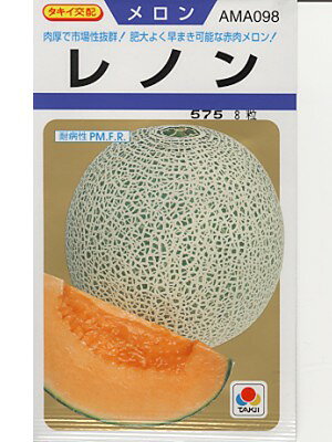 メロン種　タキイ交配　レノン　　タキイ種苗のネットメロン品種です。　種のこと...