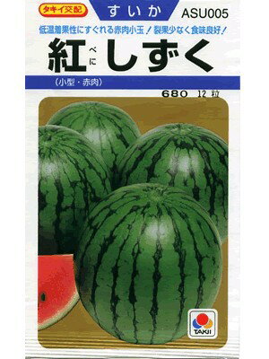 スイカ種 タキイ交配 紅しずく タキイの小玉スイカ品種です。 種のことならお任せグリーンデポ