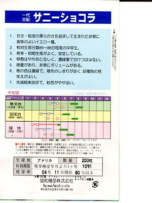 トウモロコシ種　サニーショコラ　　みかど協和のトウモロコシ品種です。　種のこ...
