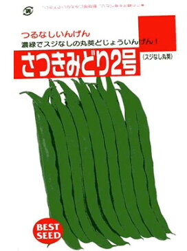 インゲン種　さつきみどり2号　タキイ種苗のつるなしインゲン品種です。　種のことならお任せグリーンデポ