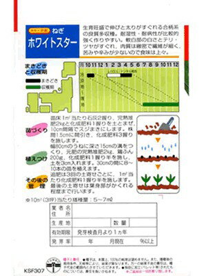 ネギ タキイ交配・・・ホワイトスター・・・<タ...の紹介画像2