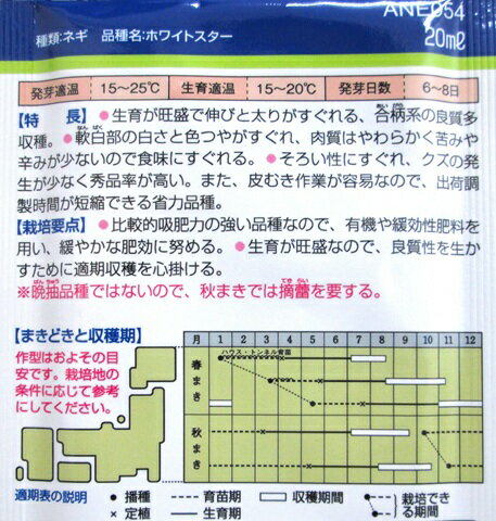 �ͥ������������ۡ��ۥ磻�ȥ�����