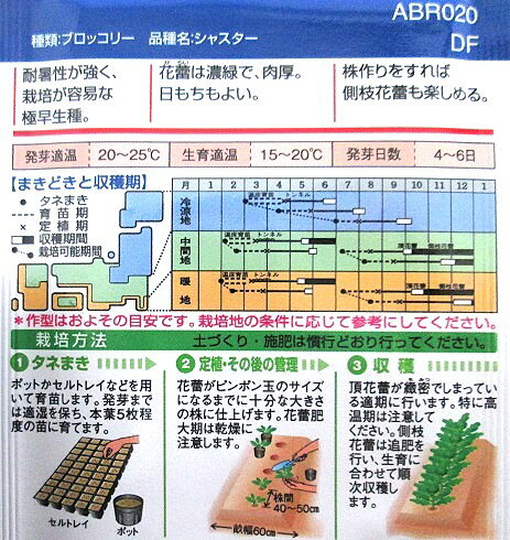 ブロッコリー　タキイ交配　シャスター　タキイ種苗のブロッコリー