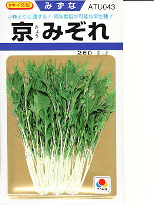 タキイ交配　京みぞれ　　　タキイ種苗の水菜品種です。　種のことならお任せグリーンデポ