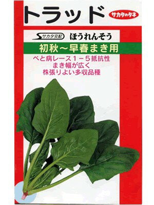 ほうれん草種　サカタ交配　トラッド　　サカタのタネのほうれん草品種です。　種のことならお任せグリーンデポ