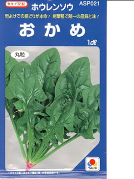 ほうれん草 タキイ交配・・・おかめ・・・<タキイのほうれん草です。 種のことならお任せグリーンデポ>