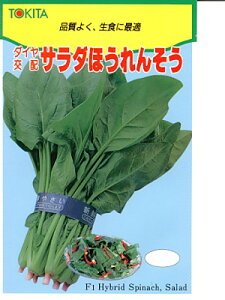 ほうれん草の種　ダイヤ交配　サラダほうれんそう　トキタ種苗のほうれん草品種です。　種のことならお任せグリーンデポ