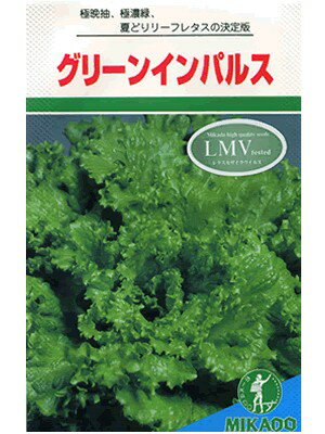 レタス　みかど・・・グリーンインパルス・・・＜みかどのリーフレタスです。　種のことならお任せグリーンデポ＞