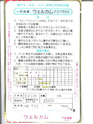 プロおすすめのアスパラガス品種 アスパラガス種 注目ブランドのギフト サカタ交配 サカタのアスパラガス品種です ウェルカム 種のことならお任せグリーンデポ