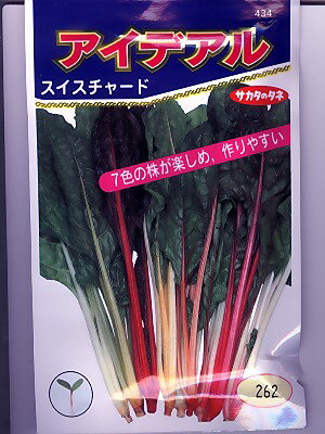 GREENDEPOT㤨ǥ롡ΥͤμǤΤȤʤ餪Ǥ꡼ǥݡפβǤʤ350ߤˤʤޤ