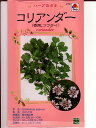 ハーブ種　コリアンダー　（別名：コウサイ・パクチー・シャンツァイ）　タキイ種苗のハーブ種です。　ハーブ種のことならお任せグリーンデポ