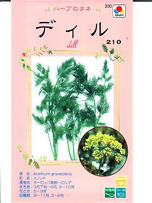 ピクルスの香り付けに良く利用されるハーブです。　大昔から利用されているハーブです。　独特のエキゾティックな香りと辛味を持ち、魚料理のも良く利用するようです。○種まき時期は3月下旬〜6月、9月と10月です。