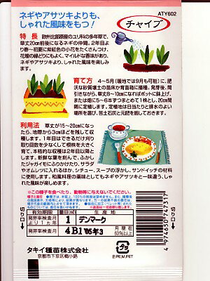 年間ランキング6年連続受賞 スープやカレーに彩りをプラス ドッケの種です シロゴチョウの種 ドッケ 白胡蝶 自家栽培 ハーブ Visitmangystau Kz