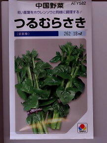 中国野菜　タキイ・・・つるむらさき・・・＜種のことならお任せグリーンデポ＞