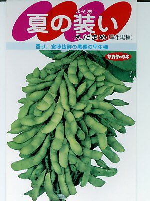 枝豆種 夏の装い