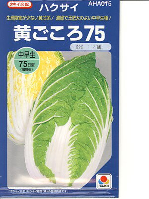 生理障害が少ない黄芯白菜。 播種後75日ぐらいで収穫できる中早生種です。 ナンプ病、尻腐病、ネコブ病に強く、作りやすいです。 縁腐れ、芯腐れ、ゴマ症の発生が少ないです。 玉は胴張りのよい濃緑砲弾型で過熟になりにくいです。 〇中間地では8月中...