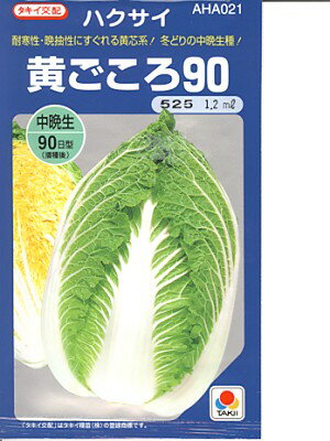 白菜種 タキイ交配 黄ごころ90 タキイ種苗の白菜です 種のことならお任せグリーンデポ