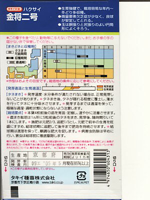 白菜種　タキイ交配・・・金将二号・・・＜タキイの白菜です。　種のことならお任せグリーンデポ＞