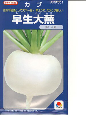 カブ種　タキイ交配　早生大蕪　　　タキイ種苗の蕪品種です。種のことならお任せグリーンデポ