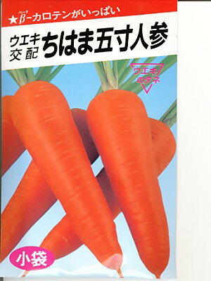人参種　ウエキ交配・・・ちはま五寸人参・・・＜ウエキの人参です。種のことならお任せグリーンデポ＞