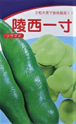 ソラマメ　みかど協和　協和の陵西一寸　みかど協和協和のソラマメです。のサムネイル