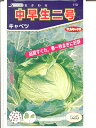 キャベツの種　サカタ交配・・・中早生二号・・・＜サカタのキャベツです。種のことならお任せグリーンデポ＞