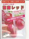 　玉ねぎの種　湘南レッド　＜神奈川県農業総合研究所育成種子です。種のことならお任せグリーンデポ＞