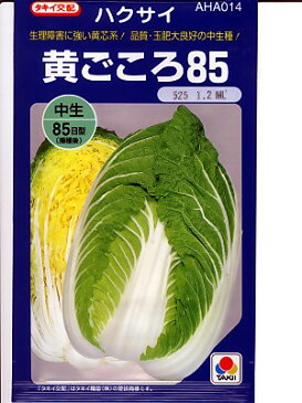 ハクサイの種　タキイ交配　黄ごころ85