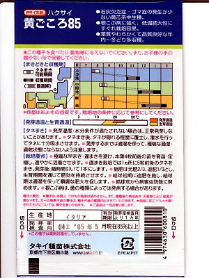 ハクサイの種　タキイ交配　黄ごころ85