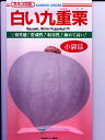 カボチャの種 カネコ交配・・・白い九重栗・・・<カネコのカボチャです。種のことならお任せグリーンデポ>