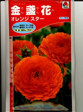 キンセンカ種　タキイ育成　オレンジスター　　タキイ種苗のキンセンカ品種です。種のことならお任せグリーンデポ